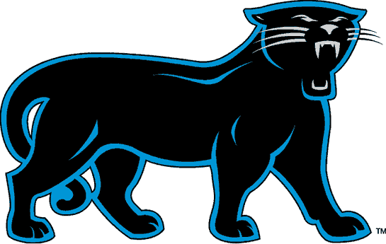 Carolina Panthers 1995-2011 Alternate Logo DIY iron on transfer (heat transfer)